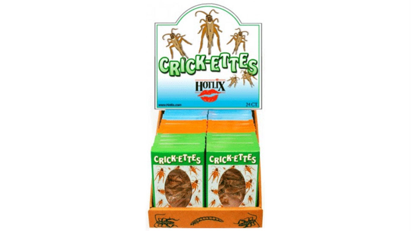 talking dog bacon maple syrup